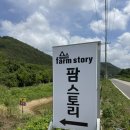팜스토리 | 청도 여행 애견동반 글램핑장 ‘팜스토리’ 솔직후기
