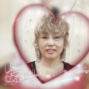김경선 Daum카페