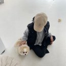 하이댕스 이미지