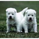 서부해안로(쉬미항) 이미지