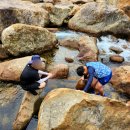 천리향 펜션 이미지