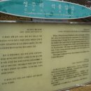 영주동반구정 | 1122. 2015.10.23. 대한민국 경상북도 영주시 - 영주동 석조여래입상
