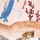 황덕도항 이미지