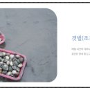 가족 커플펜션 해루피아 네이버블로그
