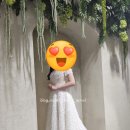 장식벽 | 온뜰에피움스튜디오-꽃장식 벽 배경 후기(신부단독)