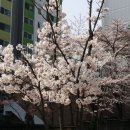 방화근린공원 이미지