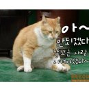 그루밍 - 전주시 덕진구 가재미로 26 | 그루밍