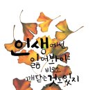 글씨테라피, 캘리그라피 이미지