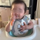 일도수입쇠고기 | 초기 뿐이 토핑 이유식 준비물 내돈내산 후기 (토핑이유식 식판)