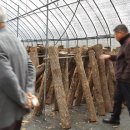 남원미래농장 이미지