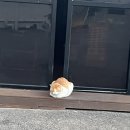 썬플랫폼 | 강릉 바다 앞 감성 숙소, 썬리치펜션 C1 크리스마스 숙박 후기