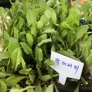 부산에듀팜