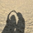 초록마을 강릉유천점 | 강원도 나들이 ( 유천막국수, 고성생선찜, 누룽지오징어순대, 안반데기, 소품샵, 툇마루 )