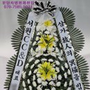 야탑동 351 (분당차병원) 이미지