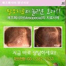 이랜드평촌프라자 이미지