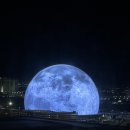 PAWS N PAWS(포즈앤포즈) | 신혼여행 EP5. 그랜드 캐니언투어-1