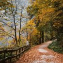 용문시장 체험코스 이미지