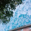 다이어트 박스(DIET BOX) 이미지