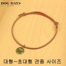 도그데이즈