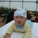 기훈농장 이미지