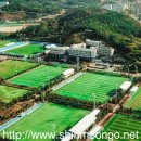 재단법인 목포국제축구센터 이미지