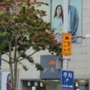 올리비아하슬러구제주