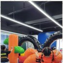 팀 에이스 태권도 이미지