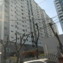 진성온누리약국 이미지