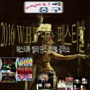 헤스티아벨리 이미지