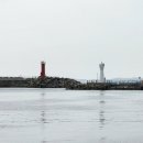 흘리커피 이미지