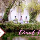 ＜2023 FIX WEEK＞ 'Dried Flower' Yuuri - Cover by 승훈, 배진영, 용희 이미지