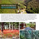 성주산자연휴양림 이미지