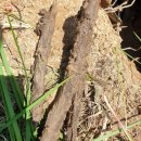 망월묘지공원(관리사무소) 이미지