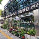 엔젤애견 수족관 화원 | 팔달구 창동수족관 후기