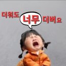 맛자랑 Daum카페