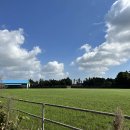 현대목장 이미지