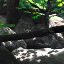 청풍에너지 이미지