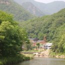 사바 이미지
