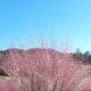 두아름농장 이미지