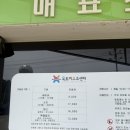 강화도 아이와가볼만한곳 핫플! 옥토끼우주센터 가격, 위치, 생생후기