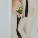 남산데이지