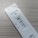 6188 | [코로나 1일차] 기숙사 격리동 생활, 생활치료센터 배정받기
