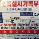 실상뜰 유정란 이미지