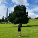 파텔라 | 나이키 이시영 프로 파텔라 밴드 무릎 보호대 러닝 1년 사용 후기