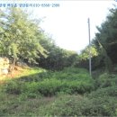 금서면사무소 이미지