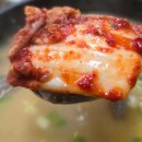 박영순 | 양주 로컬 맛집 – 박영순순대국,벚꽃이 피었습니다!