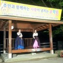 금대마을 Daum카페