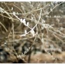 광장35호 이미지