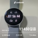 조케네가든