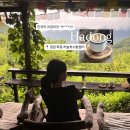 한국의 치앙마이, 바람 따라 쉬어가기 좋은 절경 [하동 하늘호수차밭쉼터] | 하동여행코스, 경남가볼만한곳